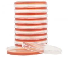 Leeds Medium; HDx, 15x100mm plt 10/pk R