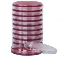 MacConkey Agar, USP; HDx,15x100mm plt 100/BX R