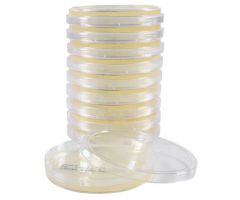Standard Methods Agar; HDx, 15x100mm plate R