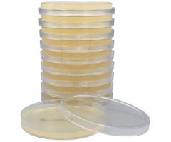 Mueller Hinton Agar, 28ml; HDx, 15x100mm plate R