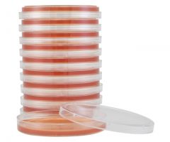 PC Agar; HDx, 15x100mm plate R