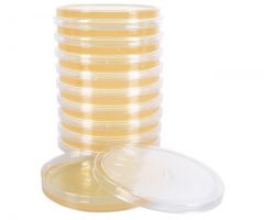 TSA w/out plate label; HDx, 15x100mm plt 10/pk R
