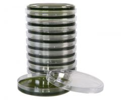 HE Agar; HDx, 15x100mm plate R