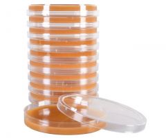 V9 Agar; HDx, 15x100mm plate R