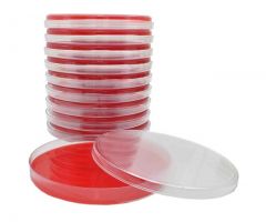 Brucella Agar w/H&K; HDx, 15x150mm plate, * R