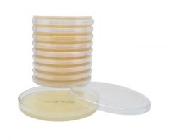 Mueller Hinton Agar; HDx, 15x150mm plate, R