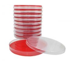 Mueller Hinton Agar w/Bld; HDx, 15x150mm plate, R