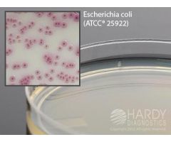 CHROM UTI, A CHROMOGENIC MEDIUM FO