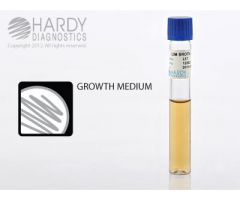 LIM BROTH, FOR GROUP B STREP, 5ML, 16X10