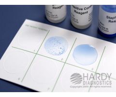 STAPHTEX BLUE, A RAPID LATEX AGGLUTI