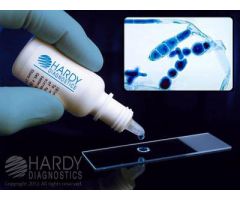 POTASSIUM HYDROXIDE, 10% KOH
