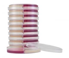 Letheen/MacConkey Agar; HDx, 15x100mm biplate R