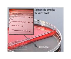 Blood Agar, 5%/EMB Agar; HDx, 15x100mm biplate R