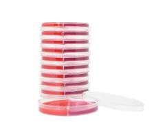 Blood, 5%/MacConkey; HDx,15x100mm biplate R
