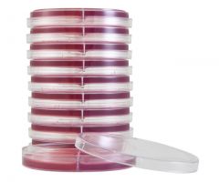 CIN/MacConkey w/Sorbitol; HDx, 15x100mm biplate R