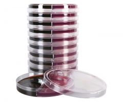 MacConkey/EMB Agar; HDx, 15x100mm biplate * R