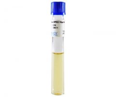 BHI Broth w/Ciprofloxacin; HDx,13x100mm tb * 20/pk R