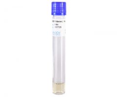TSB, Filtered, 1ml; HDx, 13x100mm glass *R