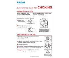 Emergency Care for Choking Poster - 18" x 12"