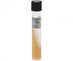 Urea Agar Slant; HDx, 16x100mm tube, R