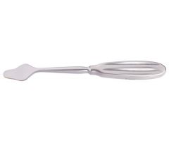 ELEVATOR,CHANDLER,BONE,LARGE,9.25In