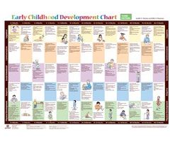 Early Childhood Development Chart