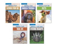 It's All Animals :Level 1