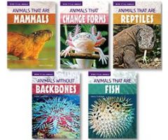 It's All Animals :Level 3