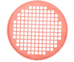 Web Exercisers: Red, Original, Medium