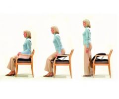 Uplift Seat Assist - Uplift Plus Seat Assist
