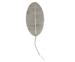 3" x 5" Oval - 2 Pack