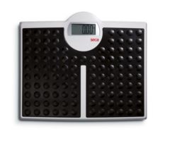 High Capacity Digital Scale

