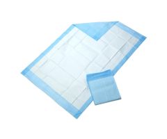  Fluff-Filled Underpad with Polypropylene Backing, 23" x 36"