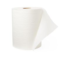 Standard Roll Paper Towels NON26870