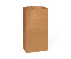Brown Paper Bag, #20, 8.5" x 5" x 16"