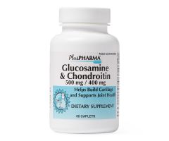 Glucosamine 500 mg + Chondroitin 400 mg Capsules by 21st Century  OTC099806