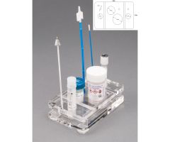 Pap Smear Procedure Holder ACRYLIC, Bump