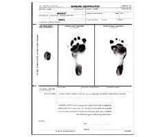 Newborn Identification Form
