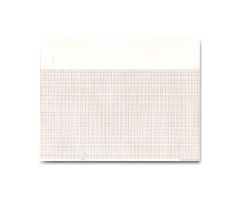 EKG Paper, 216 mm x 280 mm, 300 Sheet / Pad