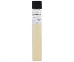 Letheen Agar, Deep 18ml; HDx, 20x125mm tube R