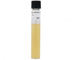 Sabdex Agar Deep, USP; HDx, 20x125mm tube