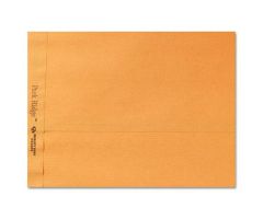 Park Ridge Kraft, Clasp Envelope, Brown Kraft Paper, 9" x 12"