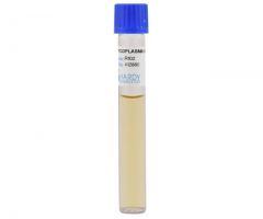 Mycoplasma Broth; HDx, 13x100mm R