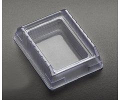 Disposable Base Mold, 37 x 24 x 10 mm