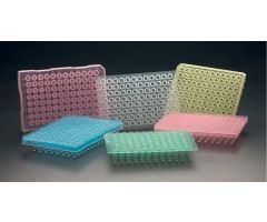 Amplate Thin Wall PCR Plate with 1 mm Raised Rim, Pink