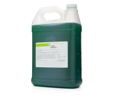 FLUID, COLLECTION, SACCOMANNO, 16 OZ