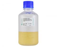 Lactose Broth, 225ml; HDx, 500ml PC bottle R