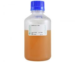 Sabdex Agar w/L&T, 400ml; HDx, 500ml PC bottle R