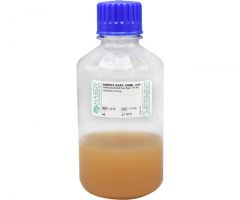 Sabdex Agar, USP, 200ml; HDx, 500ml PC Bottle