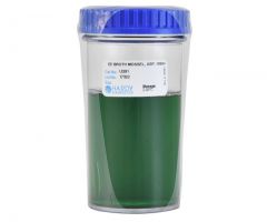 EE Broth Mossel USP 100ml; HDx,180mL WM Jar *